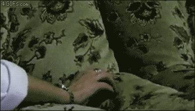 Crevice-cat-strikes.gif