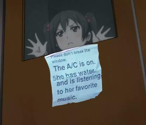 4VwesQN.jpg