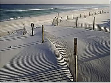 image_lbi.jpg