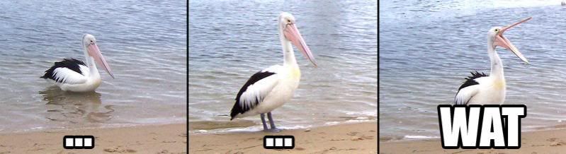 wat-.jpg