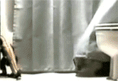 tumblr_luppc2aCnP1qzcv7no5_250.gif