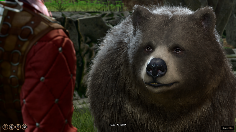 Bear-1.png