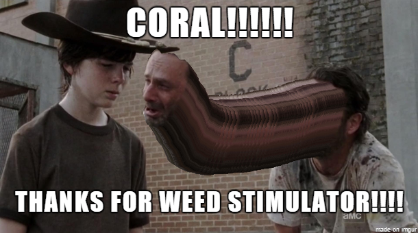 Uj9T2Va.png