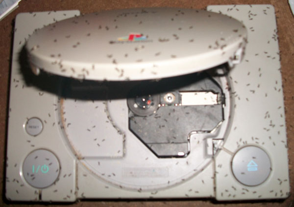 antstation.jpg