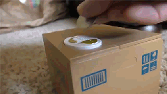 q5QNUHL.gif