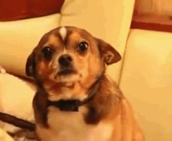 8RNdyH0.gif