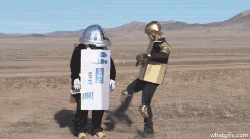 giphy.gif