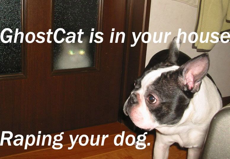 1155446486201.jpg