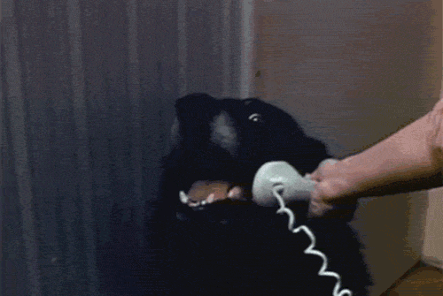 tumblr_m68zw4aap21qb5gkjo1_500.gif