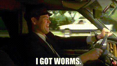 34d552d0-c82d-4348-8630-50868cc6906b_text.gif
