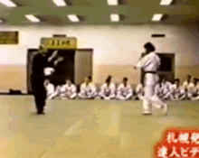 pappo-por.gif
