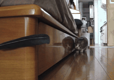 nleP0.gif