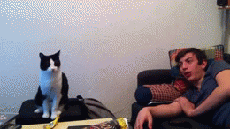 eF8kh6w.gif