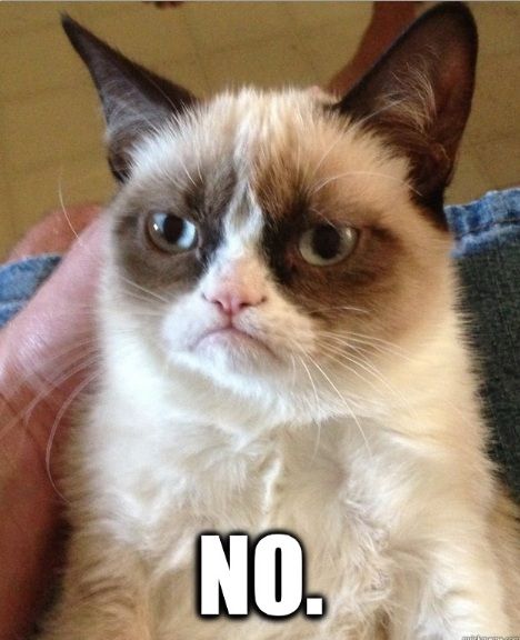 grumpy-cat-22.jpg