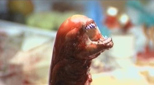 alien.jpg