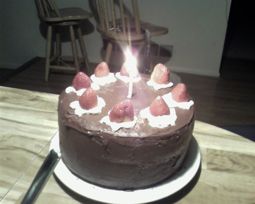 Thatcakeistoodelicioustobealie.jpg