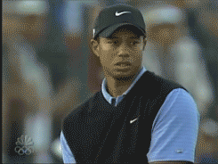 BCNxeEc.gif.gif