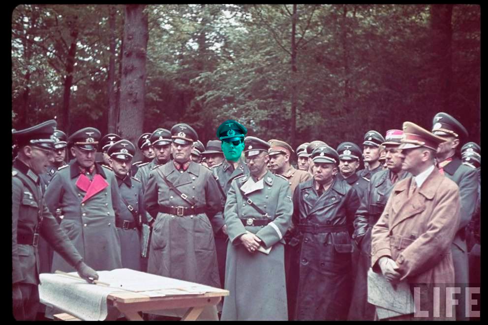 tomcrooze.jpg