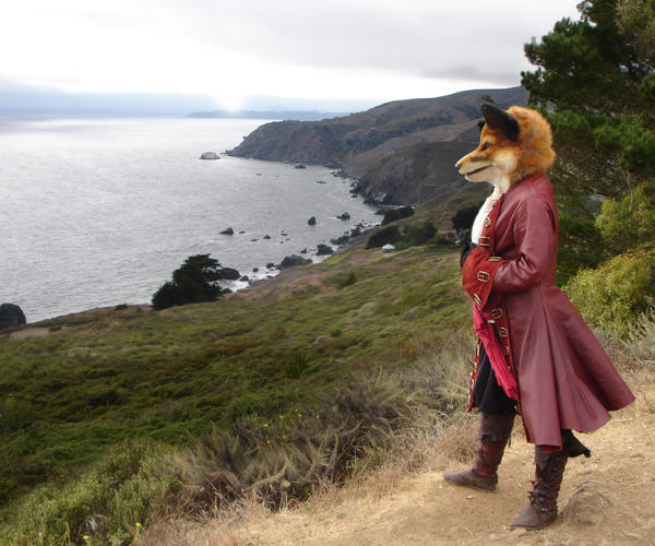 Pirate_Fox_by_BlueHyena.jpg