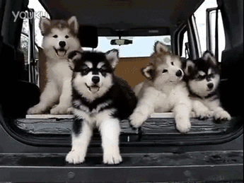 tumblr_nrn1f6f66U1tq5ex7o1_400.gif