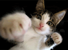takju23_12.gif