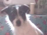 03-08-06_1653.jpg