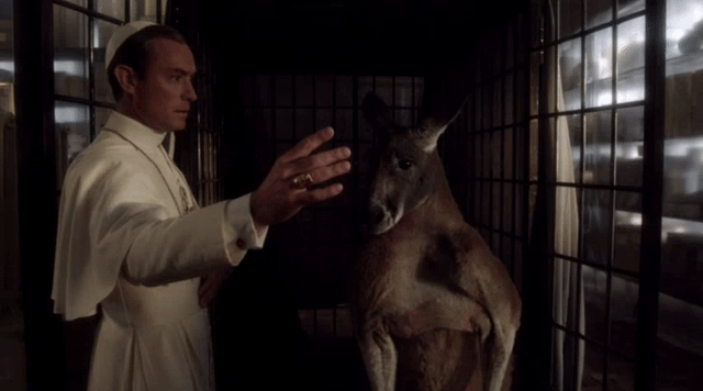 the-young-pope-kangaroo.gif