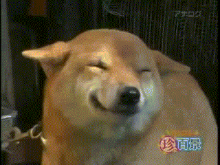 XHXfDIu.gif.gif