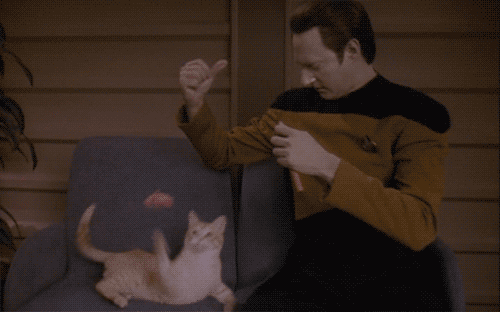 tumblr_ma9fzmiEao1r7jhfko1_r1_500.gif