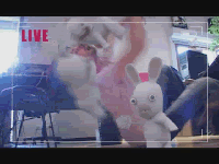 killerbunnies3wj.gif