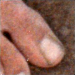 tytoe2.jpg