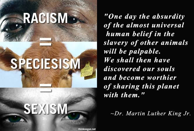 speciesism-2.jpg