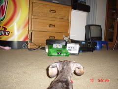 DSC00444.jpg
