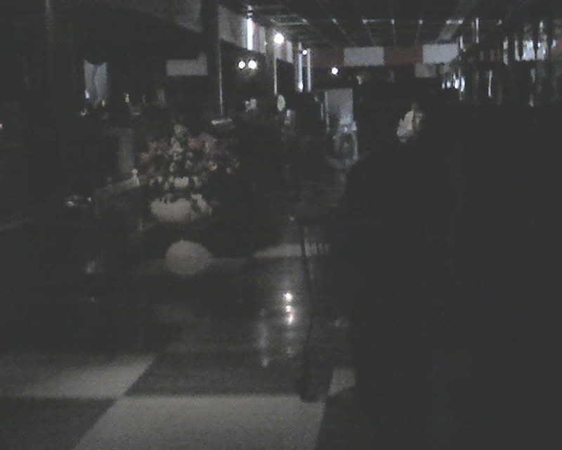 img131.jpg