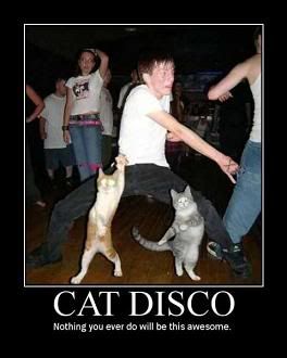 CatDisco2.jpg