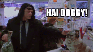 Tommy-wiseau-hi-doggy.gif