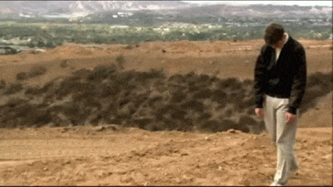 rb9.gif