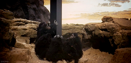 2001apes-thumb-510x245-39088.gif