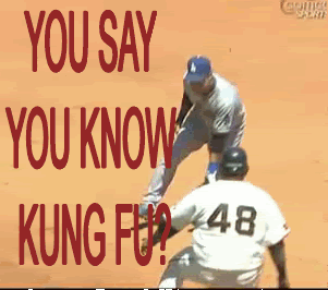 YOUSAYYOUKNOWKUNGFU.gif
