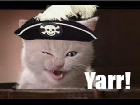 pirate-cat.jpg
