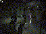 1227179468849.gif