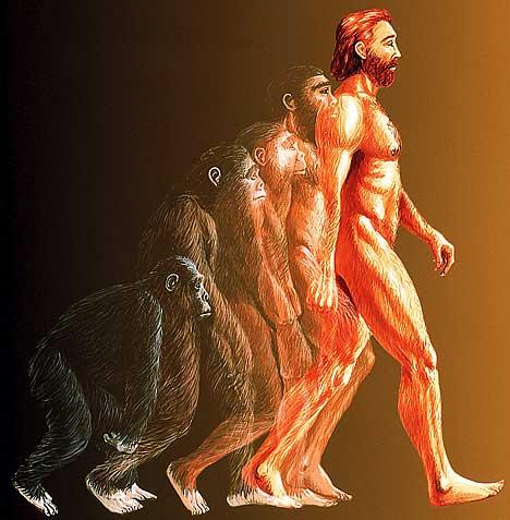 evolution.jpg