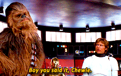 bE1p5KL.gif