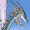 dragonbuster.png