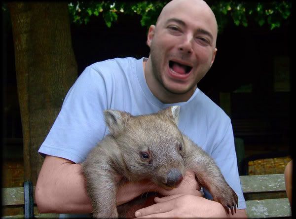 cheapydcuddleingwombat.jpg