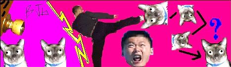 billycat3.jpg
