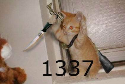 catterrorist.jpg
