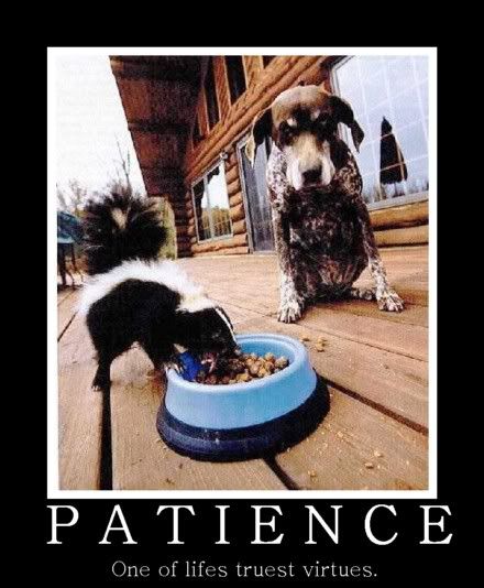 Patience.jpg