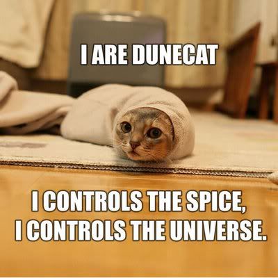 i-are-dunecat1.jpg