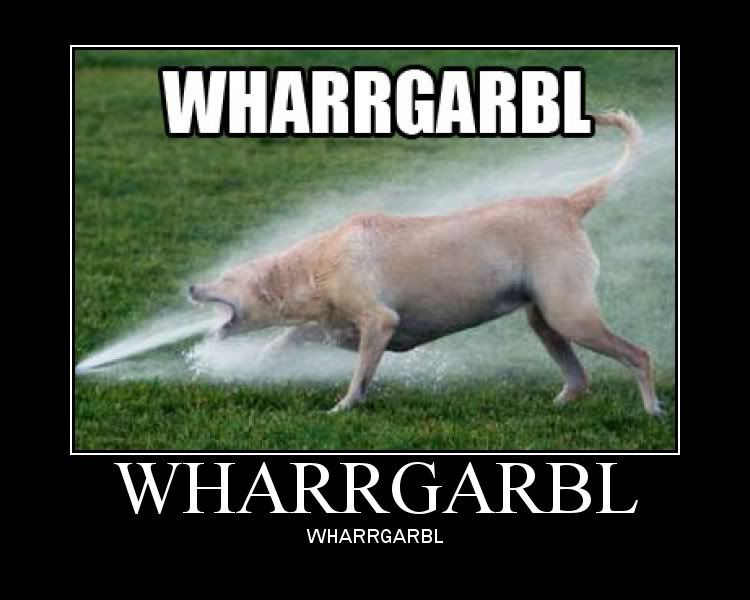 DogSprinkler.jpg